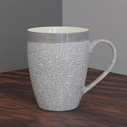 Efinito Grey Fizz Coffee Mug Set of 1 Ceramic Mugs to Gift to Best Friend, Tea Mugs, Microwave Safe Coffee Mugs, Ceramic Tea Cups (280 ml Each)