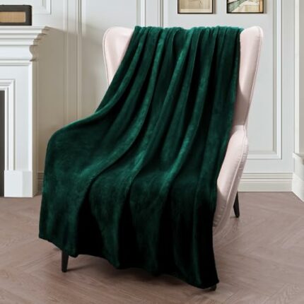Luxury Flannel Velvet Plush Throw Blanket ? 50" x 70" (Forest Green) by Efinito