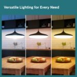 Efinito 10-watt LED Bulb | 3 Colors in 1 LED Bulb | Scene Switch Bulb for Home & Decoration | Color: Tunable White, Pack of 1 - Image 3