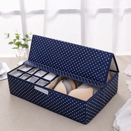 Efinito Innerwear Organizer 16+1 Compartment Non-Smell Non Woven Foldable Fabric Storage Box for Closet (Blue Polka Dot)