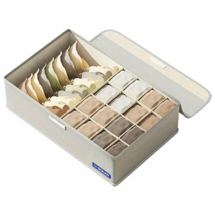 Efinito 17 Grid Foldable Storage Organizer Box for Ties & Socks Wardrobe Closet Cupboard Drawer Organizer for Baby Clothes Women Undergarments Bra Lingerie Underwear Panty & Inner Wear Men