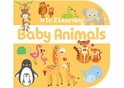 Baby Animals