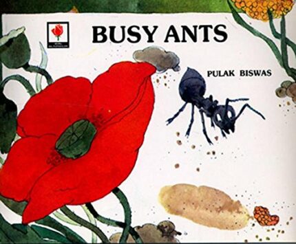 BUSY ANTS