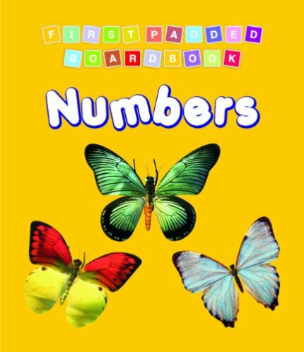 First Padded Board Book - Numbers
