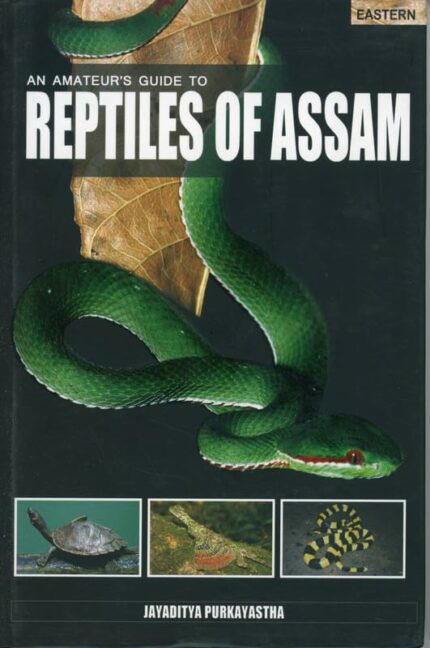 An Amateur's Guide to Reptiles of Assam