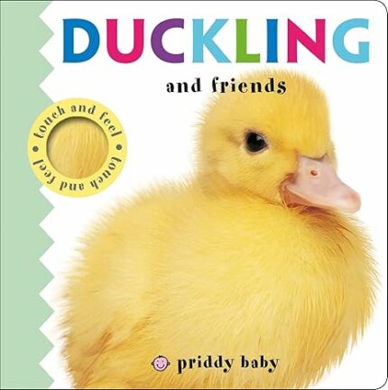 DUCKLING AND FRIENDS TOUCH AND FEEL