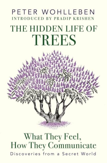 THE HIDDEN LIFE OF TREES?