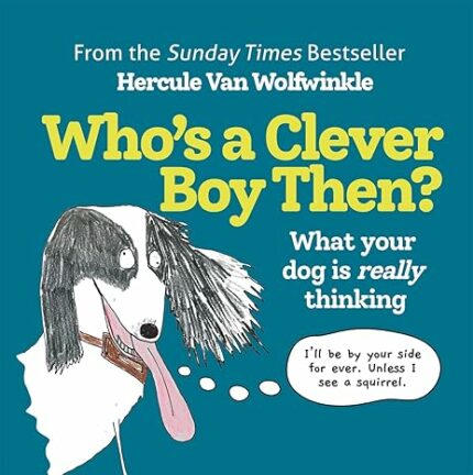 WHO?S A CLEVER BOY, THEN?