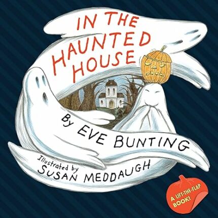 IN THE HAUNTED HOUSE TOUCH & FEEL LIFT THE FLAP BOOK