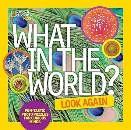What in the World: Look Again