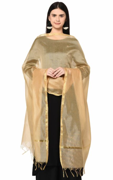 Weavers Villa Banarasi Poly Silk Plain Women's Dupatta