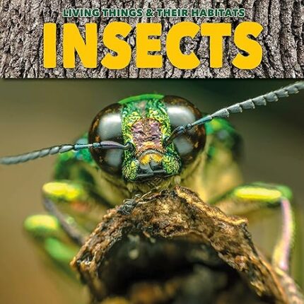 Living Things and Their Habitats: Insects