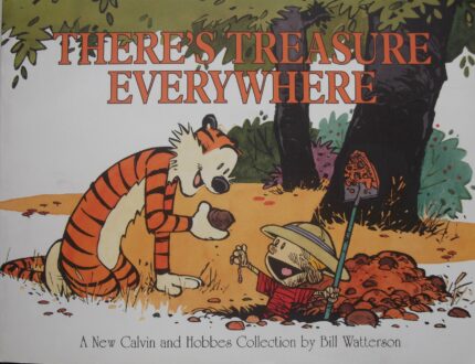 CALVIN & HOBBES :THERE'S TREASURE EVERYWHERE