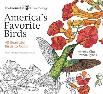 Americas Favorite Birds