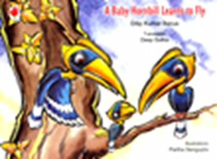 A BABY HORNBILL LEARNS TO FLY