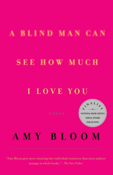 A Blind Man Can See How Much I Love You: Stories (Vintage Contemporaries)
