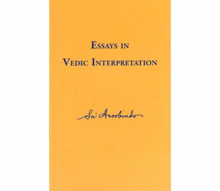 Essays in Vedic Interpretation