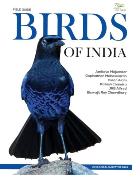 Birds of India