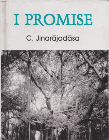 I Promise: Talks to Young Disciples