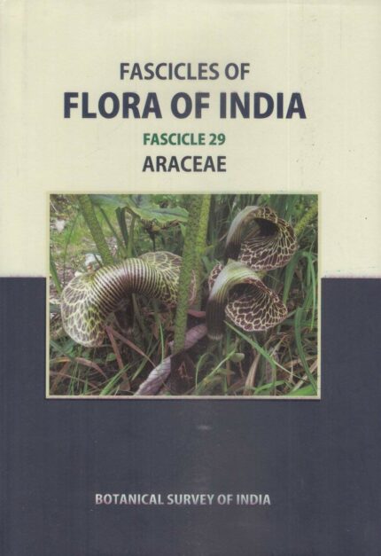 Fascicles of Flora of Inida Vol-29: Araceae
