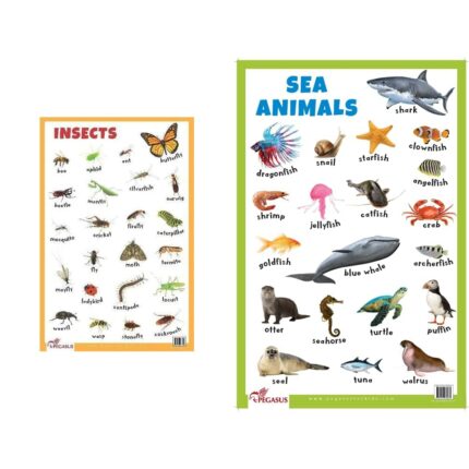 Insects