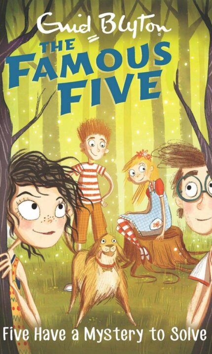 Five Have a Mystery to Solve: 20 (The Famous Five Series) [Paperback] Blyton  Enid [Paperback] Blyton  Enid