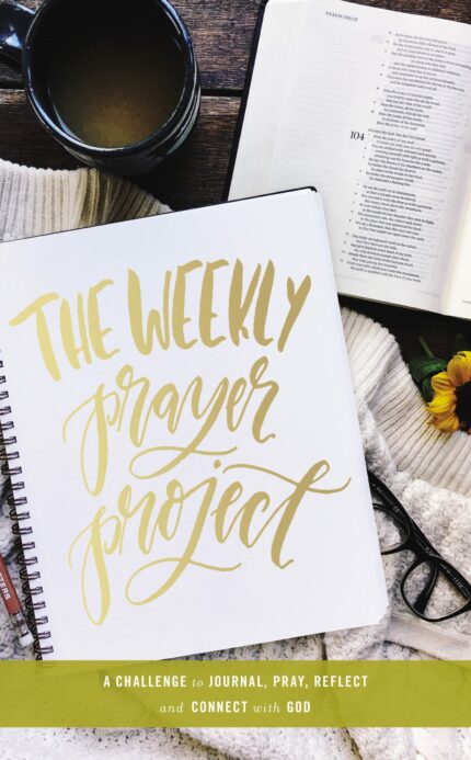 The Weekly Prayer Project: A Challenge to Journal  Pray  Reflect  and Connect with God (The Weekly Project Series)