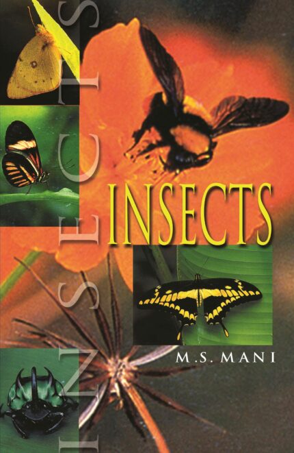 INSECTS