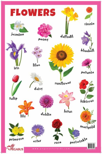 Flowers