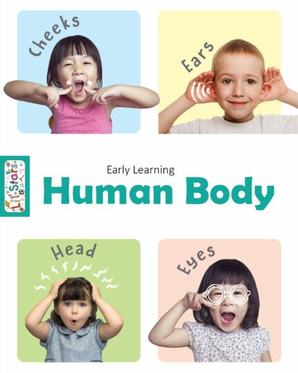 Human Body