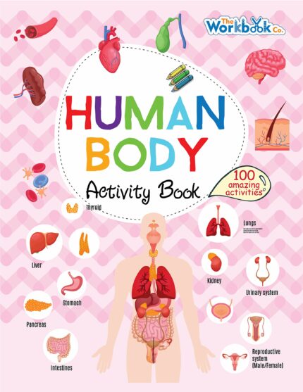 Human Body Activity Book