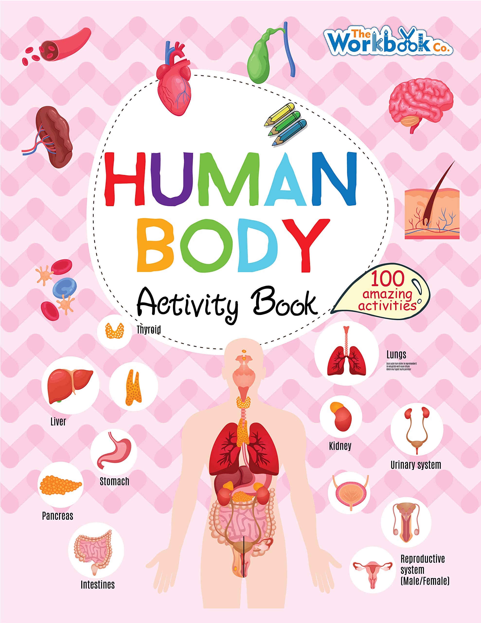 Version 1.0.0 Human Body Activity Book - Image 1