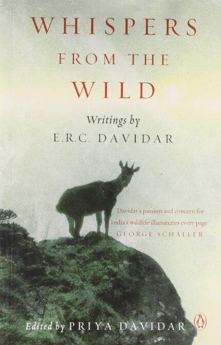 Whispers From the Wild