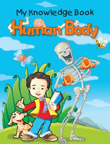 Human Body
