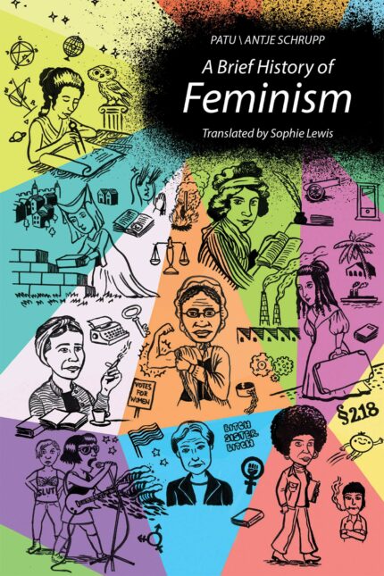 A Brief History of Feminism (The MIT Press)