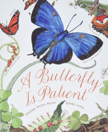 A Butterfly Is Patient: (Nature Books fo: (Nature Books for Kids  Children's Books Ages 3-5  Award Winning Children's Books) (Family Treasure Nature Encylopedias)
