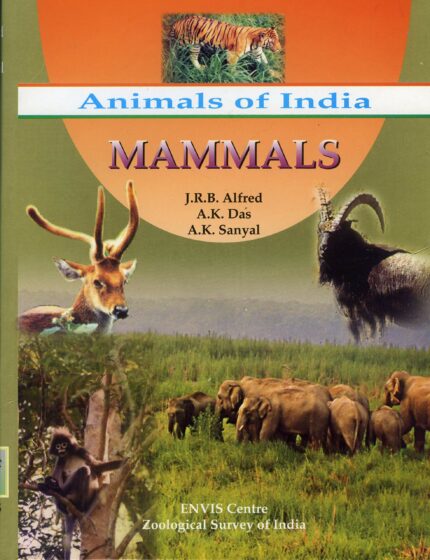 Animals of India: MAMMALS