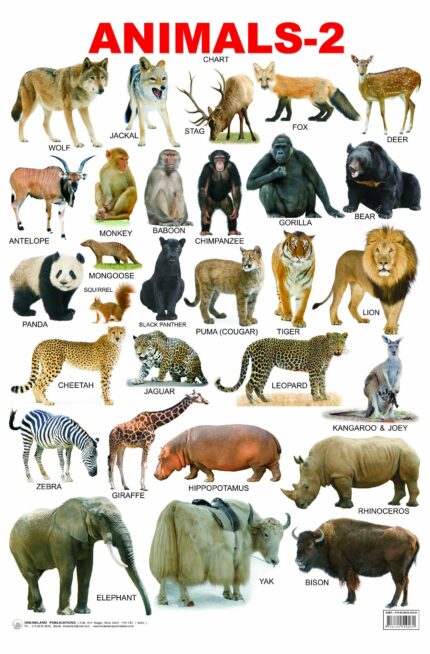 Animals-2