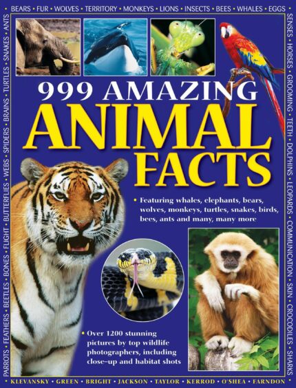 999 Amazing Animal Facts: Featuring Whales  Elephants  Bears  Wolves  Monkeys  Turtles  Snakes  Birds  Bees  Ants and Many  Many More