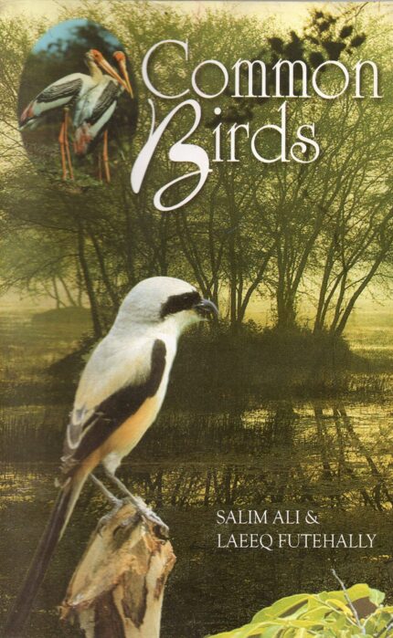 COMMON BIRDS